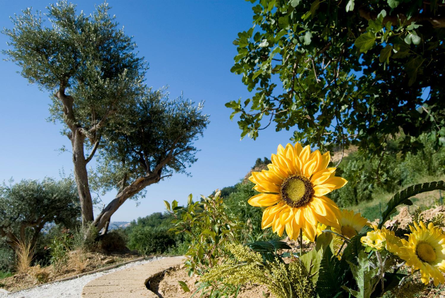Agriturismo Il Falco SantʼElpidio a Mare Exterior foto