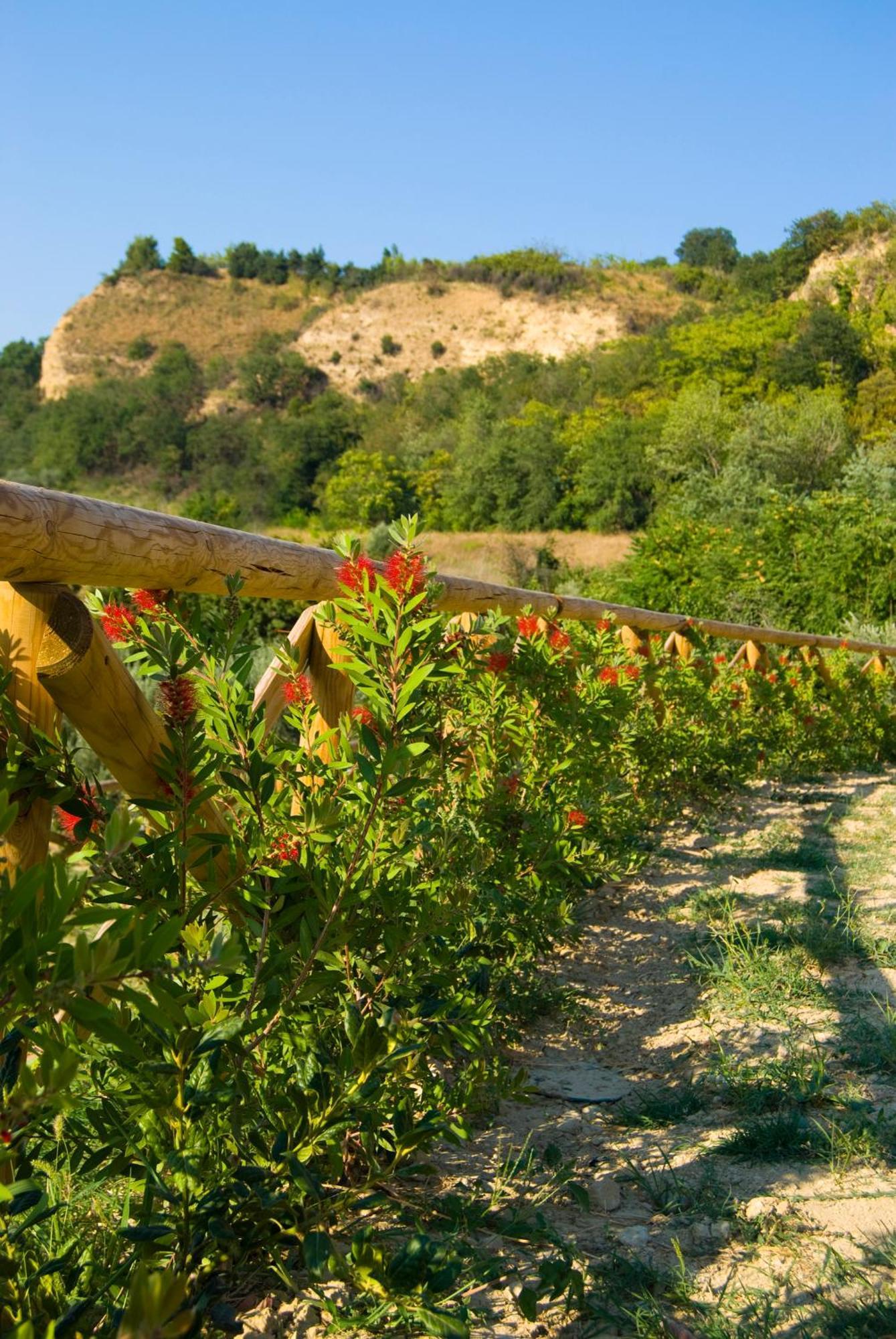 Agriturismo Il Falco SantʼElpidio a Mare Exterior foto